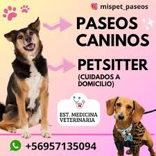 veterinaria servicios y paseos