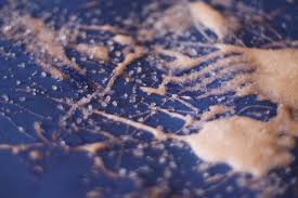 A fun and simple way to explore color with snow! Salt Paint For Toddlers An Icy Winter Scene Hands On As We Grow