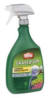 Maybe you would like to learn more about one of these? Ortho Grass B Gon Garden Grass Killer