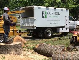 You bring in the pro's when the work is back breaking, hard and dirty!!! Stump Grinding Services Charleston Sc Your Local Stump Grinding Company