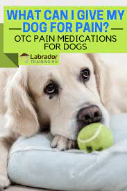 What Can I Give My Dog For Pain Otc Pain Medications For Dogs 2021