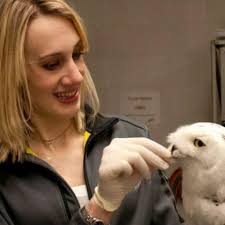 Anne Rivas's Instagram, Twitter & Facebook