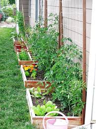 56 Very Beautiful Backyard Vegetable Garden Designs Ideas The Expert Beautiful Ideas Small Garden Design Vegetable Garden Planning Backyard Vegetable Gardens