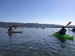 Popular activities on and around the large, yet uncrowded lake include fishing, boating, water skiing, wake boarding, jet skiing, sailing, swimming. Oak Shores Day Use Area Ca Lake Berryessa Recreation Gov