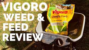 Maybe you would like to learn more about one of these? Vigoro Weed And Feed Review Lawn Before And After Youtube