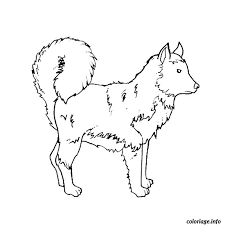 Pour commencer le coloriage, il vous suffit de l'imprimer en cliquant sur le dessin. Coloriage Chiot Husky Dessin Chien A Imprimer