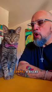 Sillas que no quieren entrar a casa: humor de Rita