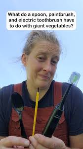 🪥 Using an electric toothbrush for giant tomato pollinations! #tomato  #gianttomato #giantpumpkin #garden #plants #farming #pollination