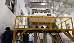 Split Blanched Peanut Color Sorter Machine Peanuts Color ...