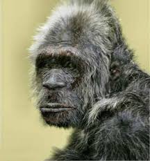 Image result for bigfoot throws rocks