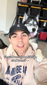 No snow No problem — should have traveled to the panhandle for the snow 👀,  #dogsoftiktok #dogsoftiktokviral #husky #huskies #dogs