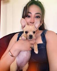 Dian Yu (@itsdianyu) • Instagram photos and videos