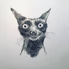 Download lockdown images and photos. Edward Carey A Drawing A Day In Lockdown Belgravia Books Collective