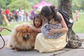 Sumber berita harian melaporkan yang jabatan kemajuan islam malaysia (jakim). I Want To Touch A Dog Event Receives Backlash Jakim To Investigate Hype Malaysia