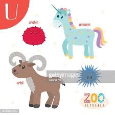 Animals that start with u umbrellabird, unicorn, unau, urchin, urial. Letter U Cute Animals Funny Cartoon Animals In Vector Clipart Image