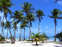 La Plage De Bois Jolan Guadaloupe Plage Guadeloupe Guadeloupe Plage