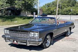 Image result for Blue Haze 1975 Buick