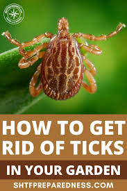 Finding ticks on dogs is a summertime hazard, but getting rid of them doesn't have to be! Gardening In 2020 Get Rid Of Ticks How To Get Rid Farm Yard