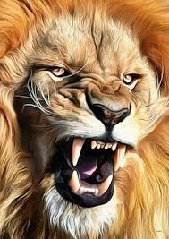 Pin By Patrice R Davis On The Lion Den Lion Photography Lion Pictures Lion Images