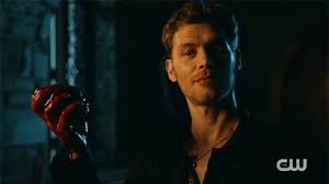 Find and save images from the ◇ klaus mikaelson gifs ◇ collection by » lydia mikaelson. Gif Image Most Wanted Hybrid Klaus Mikaelson Gif