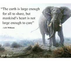 The Earth Is Large Enough For All To Share But Mankind S Heart Is Not Large Enough To Care A D Williams Nature Quotes Animal Quotes Elephant