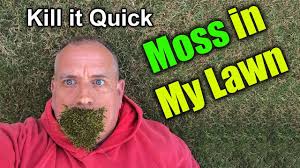 Roundup for lawns crabgrass destroyer. Get Rid Of Moss In Lawn How To Youtube