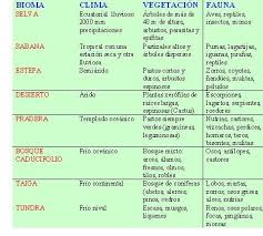 Cuadros Comparativos Tipos De Biomas Que Son Cuadro Comparativo Biomas Tipos De Ecosistemas Ecosistemas