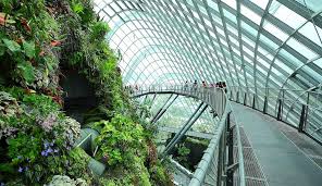 Robert such, darren chin, craig sheppard. Gardens By The Bay Singapore Travel Guide Marina Bay Sands