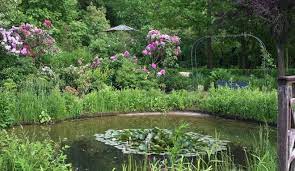 Der garten der schmetterlinge in friedrichsruh hat bereits vor mehr als 23 jahren seine tore eröffnet. Garten Der Schmetterlinge Schmetterlinge Vorm Bauch Hamburg Guide