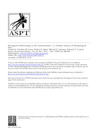 Image result for Stanfieldiella imperforata