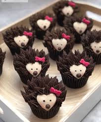 Hedgehogs What More Could You Want Cupcakes Instabake Cupcakebouquet Cupcakeart Buttercream Butter Hedgehog Cupcake Cake Kid Cupcakes