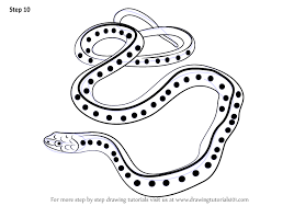 At the risk of repeating myself, snakes are beautiful and fascinating thank you very much for this! Learn How To Draw A Common Garter Snake Reptiles Step By Step Drawing Tutorials
