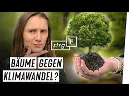 Banken stuttgarter strasse 122 70469 stuttgart. 50 Bonus Bei Abschluss Der Awa7 Hanseatic Bank Dauerhaft Ohne Jahresgebuhr Mydealz De