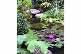 Although tate's and woodland pond trails are. 30 Beautiful Koi Pond Ideas For Your Garden Mountain Tree