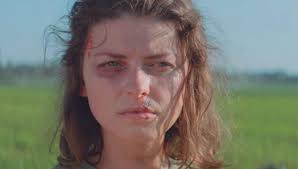 Catalogue New York Shorts 2022 by nyshorts