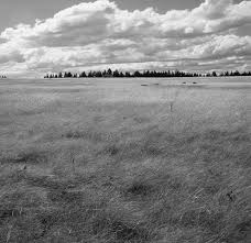 Grasslands Under Siege Special Feature