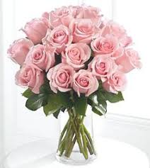 Add some freshness in your occasion using online flowers bouquet delivery in canada. 40 Pink Roses Collection Ideas Pink Roses Flower Delivery Service Flower Delivery
