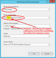 Iis Only Serve Requests With Hostnames Server Fault