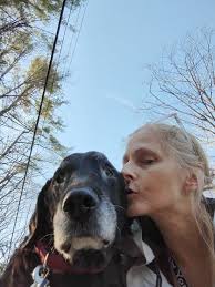 This is BB (British Biscuit) he needs a forever home I can't keep him cause  he doesn't get along with my dogs and he needs to be an only dog cause he