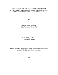 Image result for Lippia somalensis