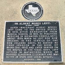 Albert Moses Levy