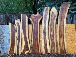 Image result for Dalbergia