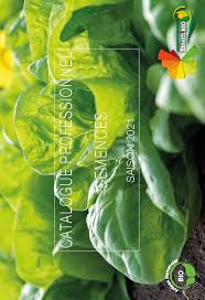 Essem Bio Semences Potageres Biologiques Livraison 24 H