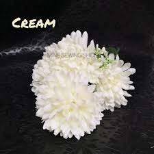 Pokok bunga kekwa (bahasa inggeris: Mum Ball Flower Bush Bunga Kekwa 5 Kuntum Bunga Setangkai Shopee Malaysia