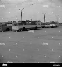 Image result for Gray 1983 Fleet