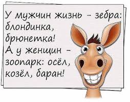 скачать песню все бабы как бабы а моя богиня Boginya S Yumorom Shutki Yumornye Citaty Veselye Vyskazyvaniya