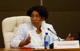Angie and mathole's 'druggie' son attacks their vehicles. Motshekga Hits Back At Opposition Criticism Over The Decision To Open Schools News24