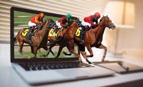 Money for each wagering type (i.e. The Advantages Of Betting On Horse Racing