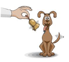 Nlp Techniek Ankeren Stimulus Response Techniek