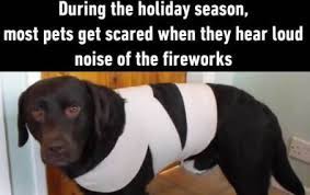 Pin On Popsicle Sticks